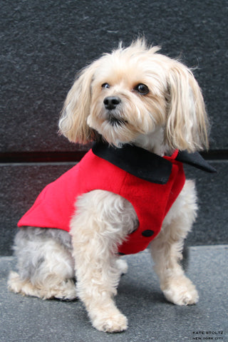 Red Cashmere Dog Jacket with Black Collar