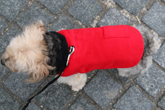 red cashmere dog jacket made in nyc